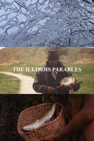 Poster The Illinois Parables 2016