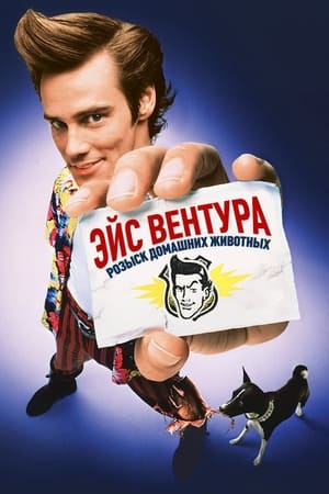 Poster Эйс Вентура: Розыск домашних животных 1994