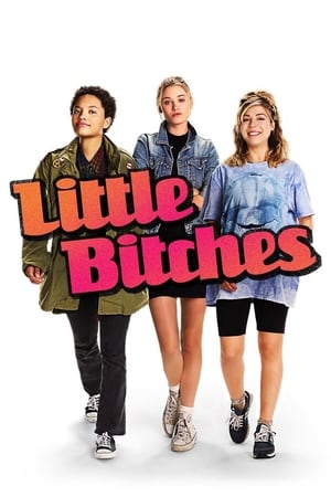 Poster Little Bitches 2018