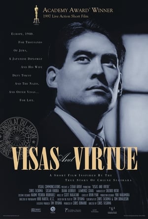 Image Visas and Virtue
