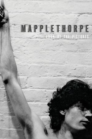 Mapplethorpe: Look at the Pictures 2016