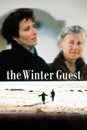 Poster L'invitée de l'hiver 1997
