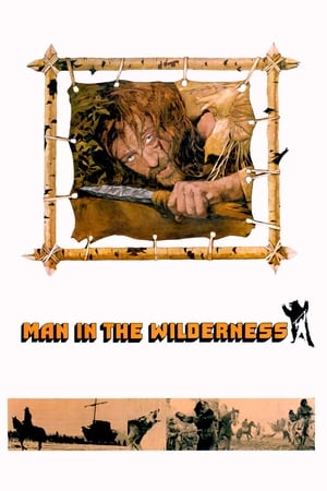 Poster Man in the Wilderness 1971