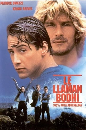 Image Le llaman Bodhi