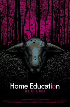 Home Education 2016