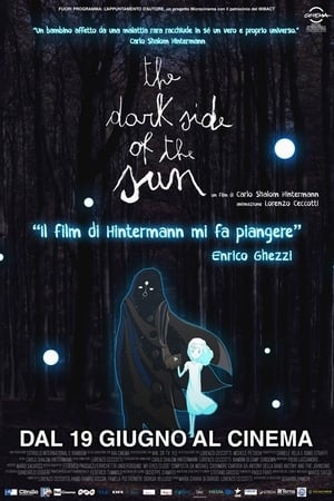 Poster The Dark Side of the Sun 2011