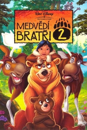 Image Medvědí bratři 2