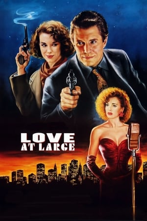 Poster Love at Large 1990