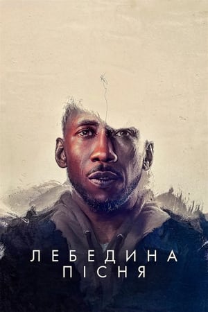 Image Лебедина пісня