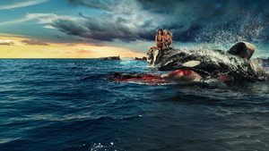 Images posters