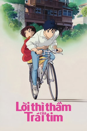 <Images posters
