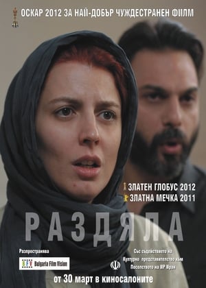 Poster Раздяла 2011