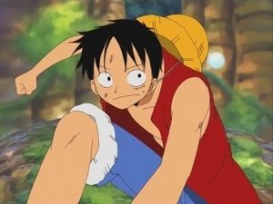 One Piece Season 9 Episode 281