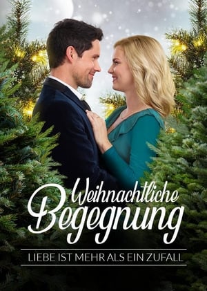 Image Weihnachtliche Begegnung - Liebe ist mehr als ein Zufall