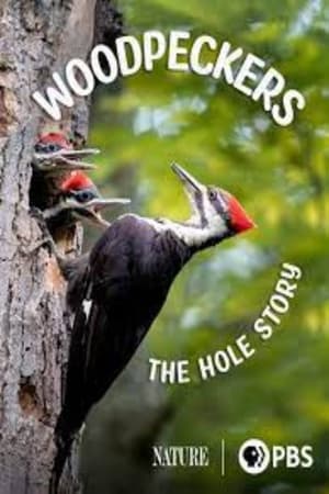 Image Woodpeckers: The Hole Story