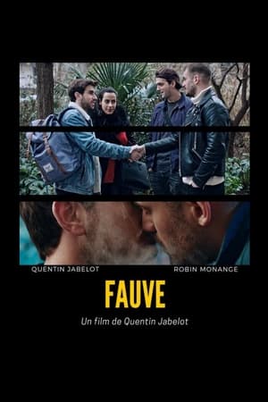 Image Fauve