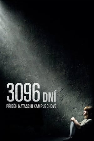 3096 dní - Příběh Nataschi Kampuschové 2013