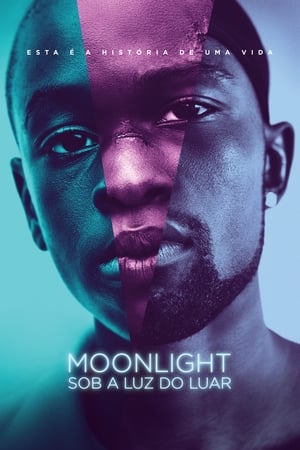 Image Moonlight