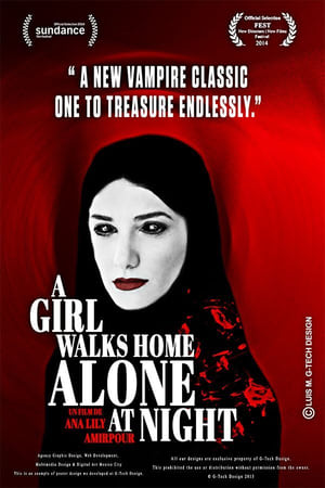 Image A Girl Walks Home Alone at Night