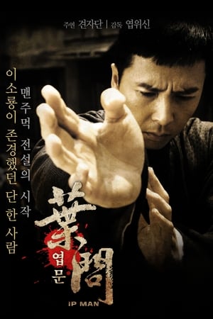 Poster 엽문 2008