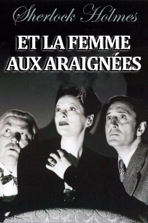 Télécharger Sherlock holmes et la femme aux araignées ou regarder en streaming Torrent magnet 