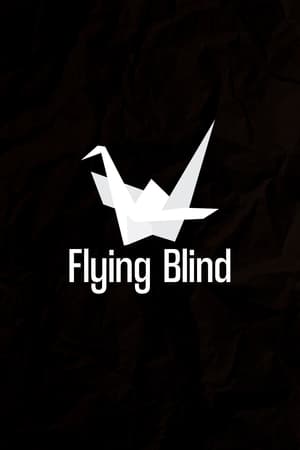Image Flying Blind