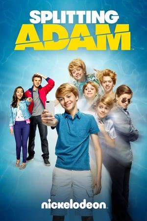 Poster Splitting Adam 2015