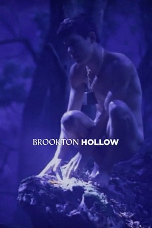 Image Brookton Hollow