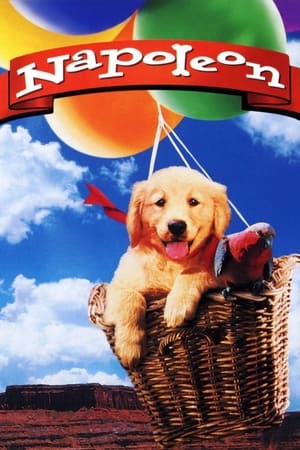 Poster Napoleon - As Aventuras de um Cãozinho Valente 1995