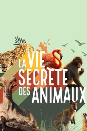 Image La vie secrète des animaux