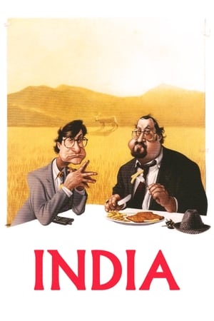 Poster India 1993
