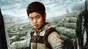 Images posters