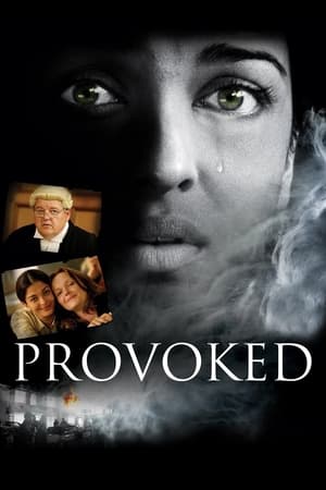 Image Provoked: A True Story