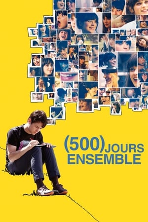 Poster (500) jours ensemble 2009
