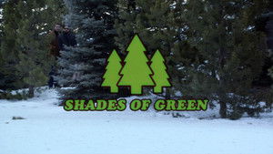 Shades of Green