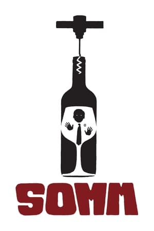 Somm 2013