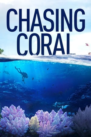 Image Chasing Coral