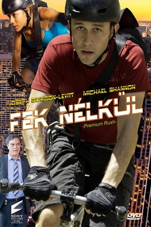 Poster Fék nélkül 2012