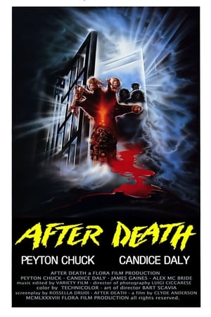 Poster After Death - Oltre la morte 1990