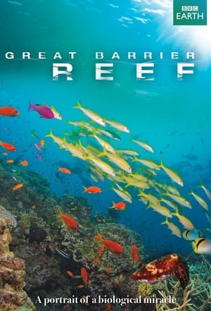 Great Barrier Reef 2012