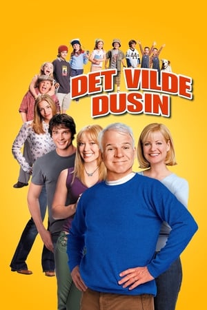 Poster Det vilde dusin 2003