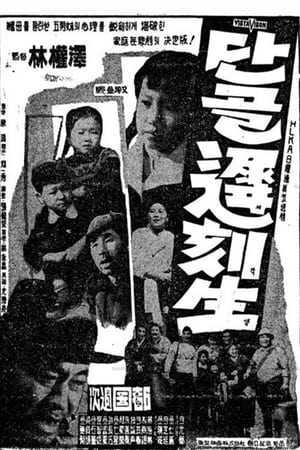 단골지각생 1964