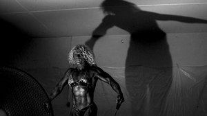 Mirror (2009)