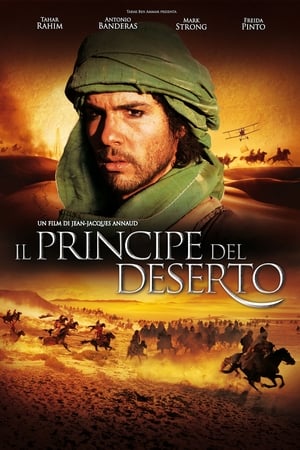 Poster Il principe del deserto 2011