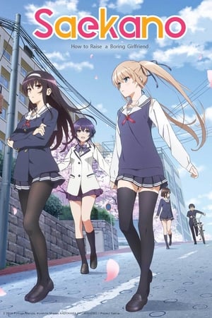 Poster Saekano: How to Raise a Boring Girlfriend 2015