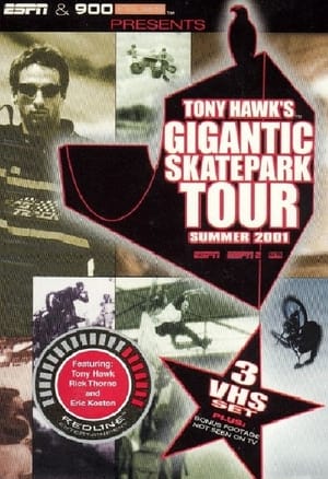 Télécharger Tony Hawk's Gigantic Skatepark Tour 2001 ou regarder en streaming Torrent magnet 