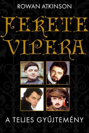 Fekete Vipera 1. évad 1989