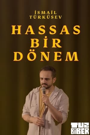 Poster Hassas Bir Dönem - İsmail Türküsev 2023