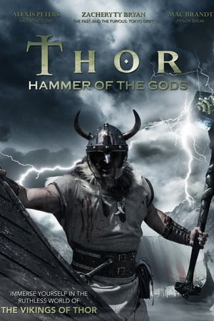 Poster Thor O Martelo dos Deuses 2009