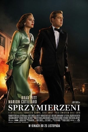 Poster Sprzymierzeni 2016